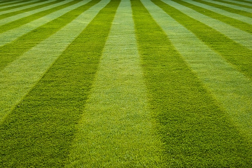 Individual Investor Provides Growth Equity for Turf Works!